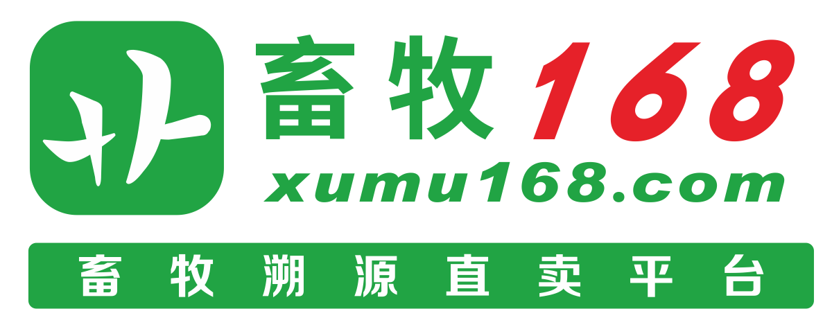 logo10.png